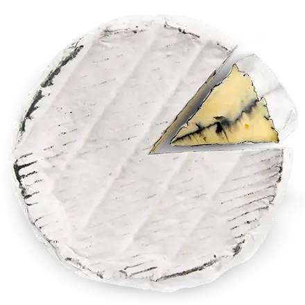 Black Ash Brie