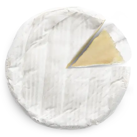 Camembert