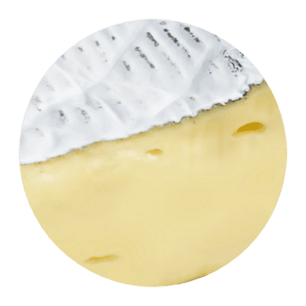 Camembert Washed Rind
